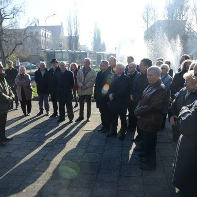 Dąb Na Stulecie Niepodległości