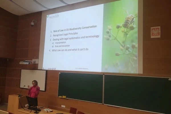 Course BIP Erasmus_2