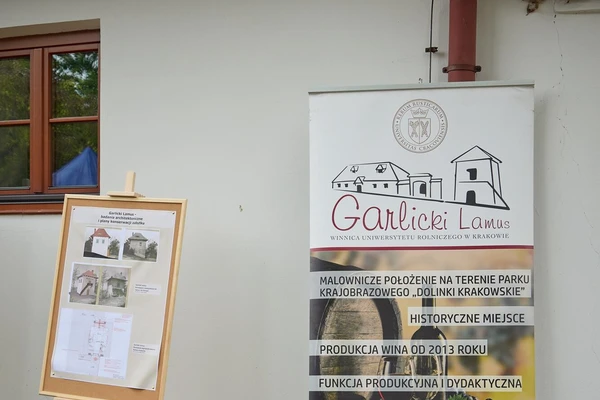 6 września 2025 r. Święto Winobrania