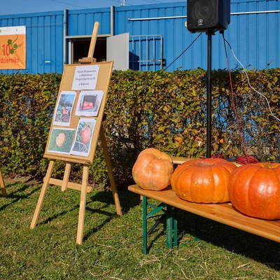 II Festiwal Dyni na Uniwersytecie Rolniczym 2024 r.