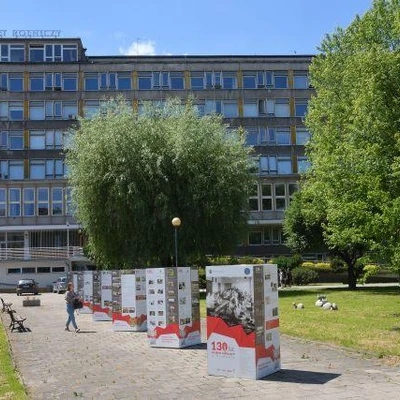 czerwiec 2021 r., Wystawa 