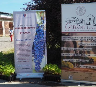 11. września 2021 r., Święto Winobrania