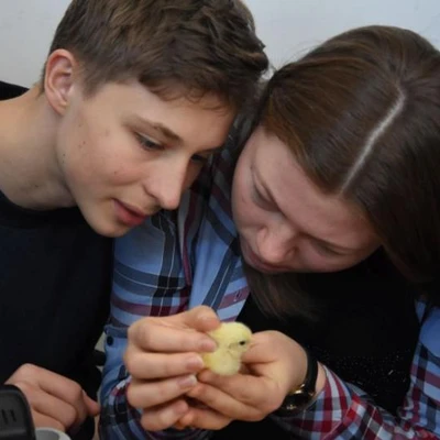 Naukowe Inspiracje – Ciekawe i Kreatywne