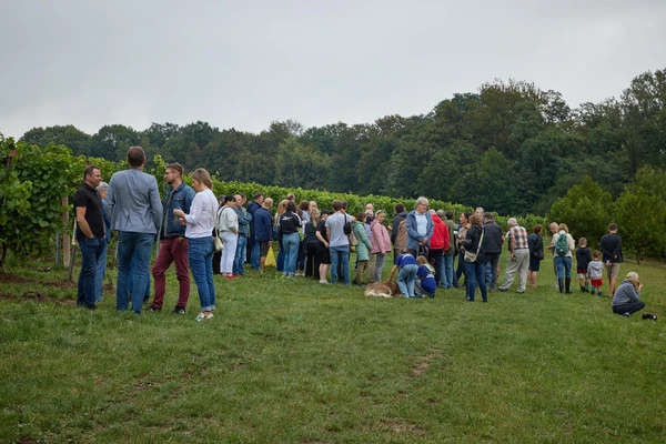 6 września 2025 r. Święto Winobrania