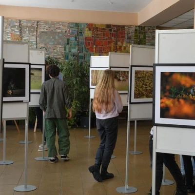 13 grudnia 2022 r.,, Ochrona Chomika Europejskiego