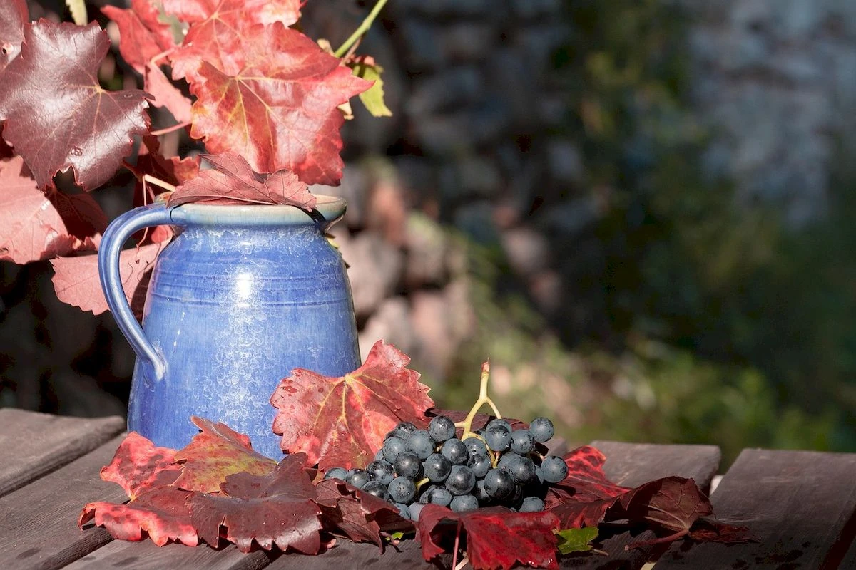 Winobranie