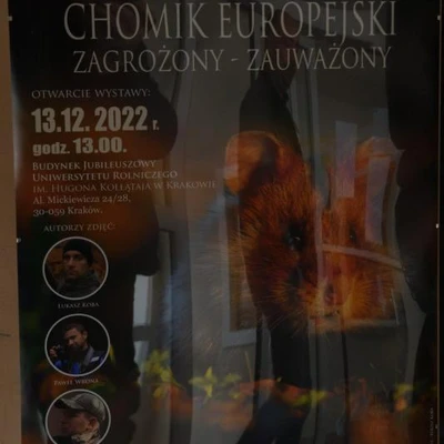 13 grudnia 2022 r.,, Ochrona Chomika Europejskiego