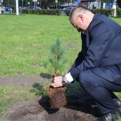 6 października 2020 r., Sadzenie limby pod Budynkiem Jubileuszowym