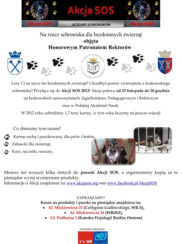 Plakat