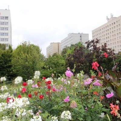 10 lat studiów podyplomowych Florystyka