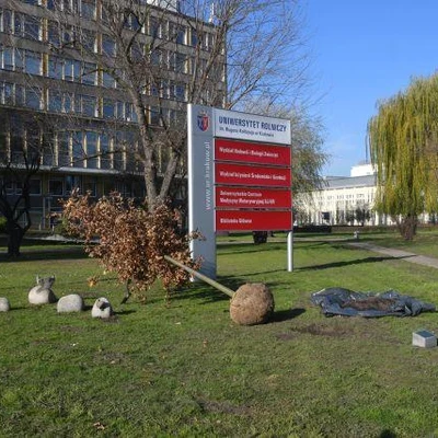 Dąb Na Stulecie Niepodległości