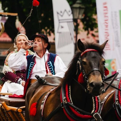 6-8 czerwca 2025 r. IV Międzynarodowy Konkurs Tradycyjnego Powożenia w Niepołomicach