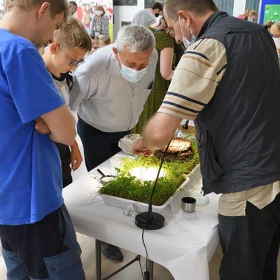 19 czerwca 2021 r., XIX Ogólnopolskie Dni Owada - Cz. 4. Stoiska, wystawy