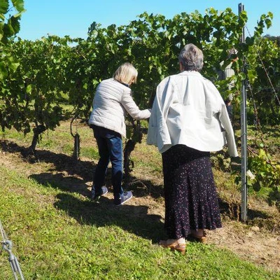 Święto Winobrania