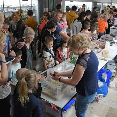 27 maja 2022 r., Dni Owada cz. 1.
