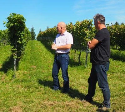 11. września 2021 r., Święto Winobrania