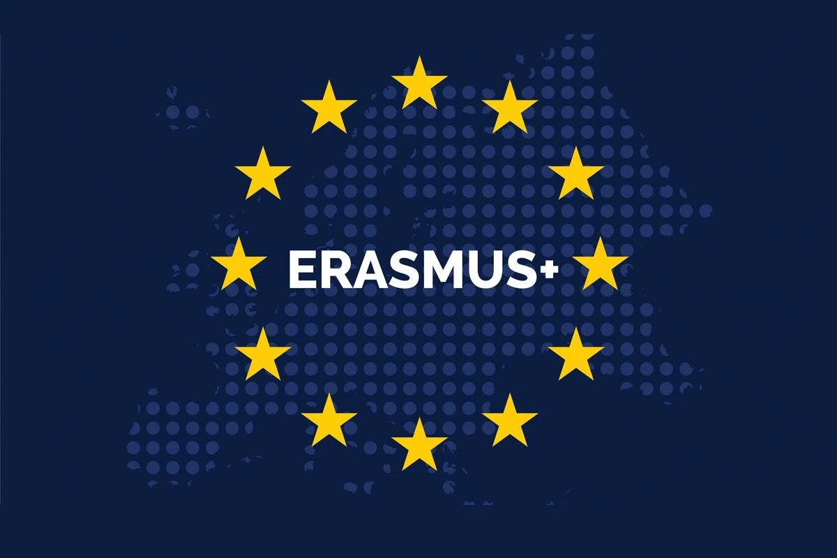 erasmus, grafika ilustracyjna