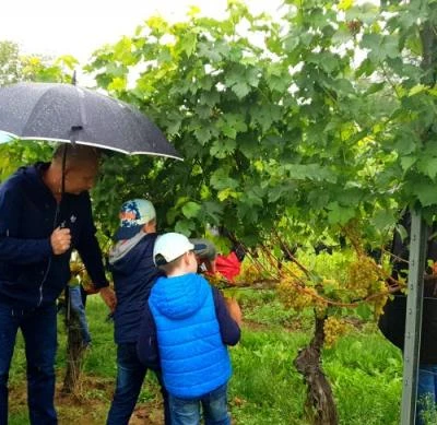 10 września 2022 r., Święto Winobrania URK