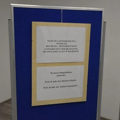 27 maja 2022 r., Dni Owada cz. 2.