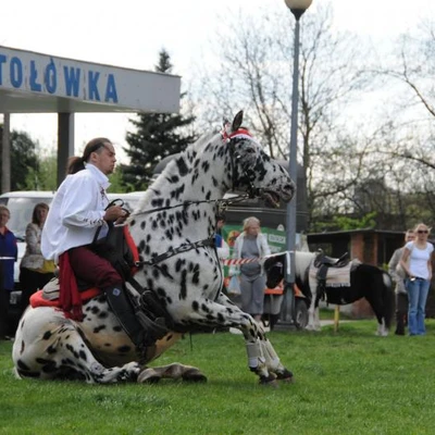 XII Małopolska Giełda Agroturystyczna