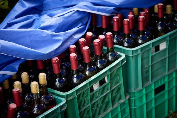 6 września 2025 r. Święto Winobrania