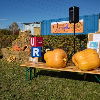 II Festiwal Dyni na Uniwersytecie Rolniczym 2024 r.