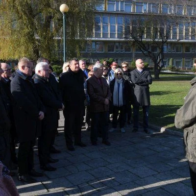 Dąb Na Stulecie Niepodległości