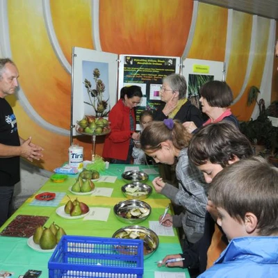 23 września 2011 r., Małopolska Noc Naukowców