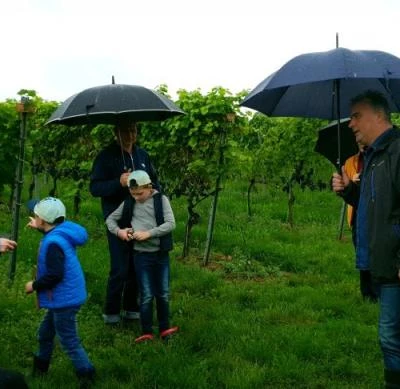 10 września 2022 r., Święto Winobrania URK