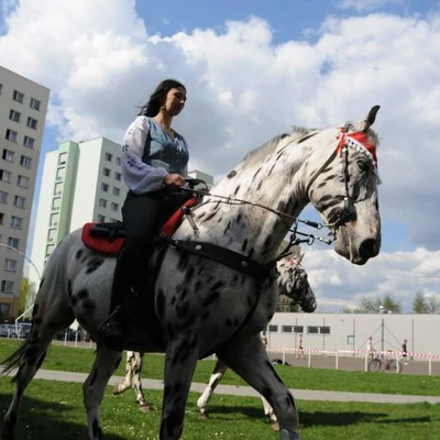 XII Małopolska Giełda Agroturystyczna