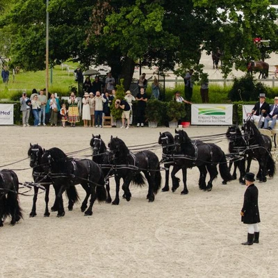 6-8 czerwca 2025 r. IV Międzynarodowy Konkurs Tradycyjnego Powożenia w Niepołomicach
