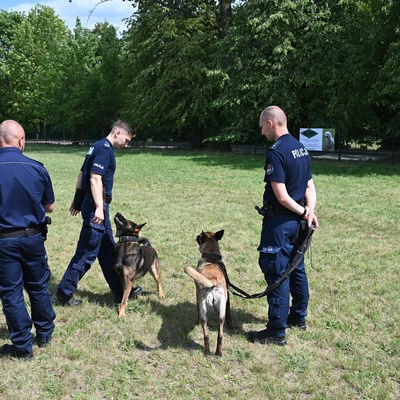 Dzień Psa 2025 - 58