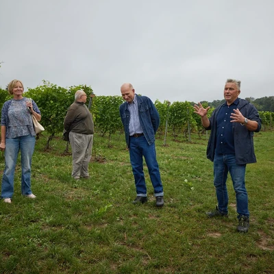 6 września 2025 r. Święto Winobrania