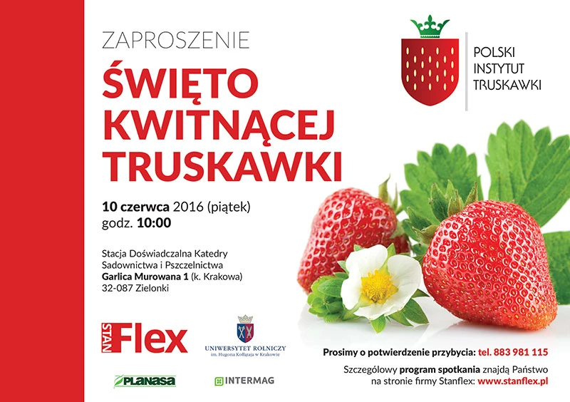 plakat