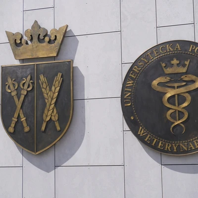 Dzień Psa 2025 - 19