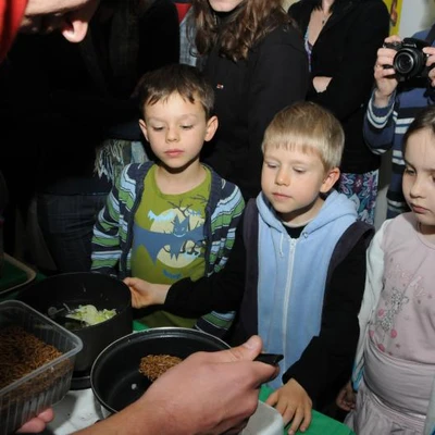 IX Ogólnopolskie Dni Owada