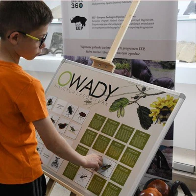 27 maja 2022 r., Dni Owada cz. 1.
