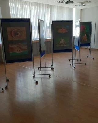 19-20 czerwca 2021 r., XIX Ogólnopolskie Dni Owada