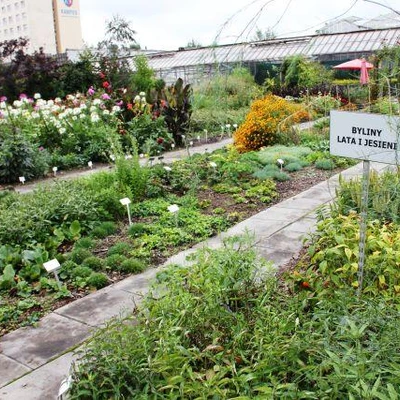 10 lat studiów podyplomowych Florystyka