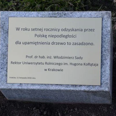 Dąb Na Stulecie Niepodległości