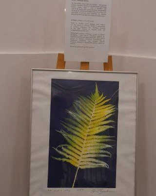 Przedszkolaki na Uniwersytecie