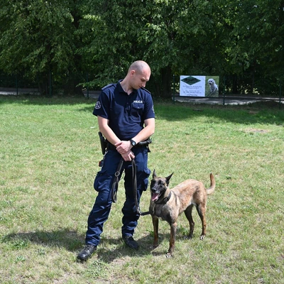 Dzień Psa 2025 - 59