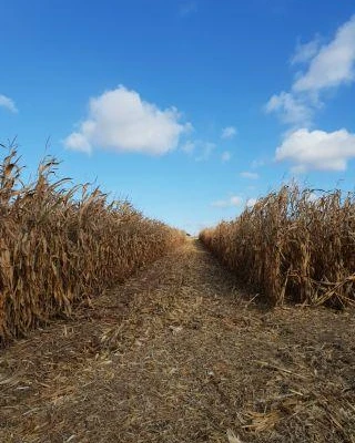 Agro-Krak UR 2021