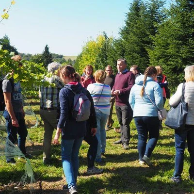 Święto Winobrania