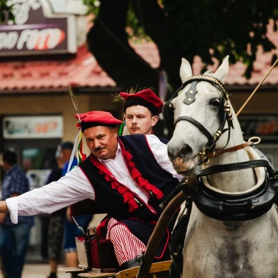 6-8 czerwca 2025 r. IV Międzynarodowy Konkurs Tradycyjnego Powożenia w Niepołomicach