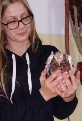 6 grudnia 2017 r., Mikołaj w Rząsce,