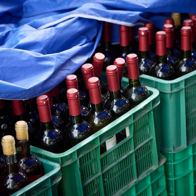 6 września 2025 r. Święto Winobrania