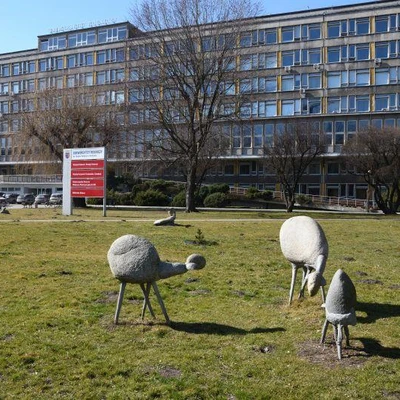 21 marca 2022 r., Dzień Otwarty UR - Biblioteka-Muzeum UR, WHIBZ, UCMW